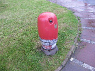 A fire hydrant